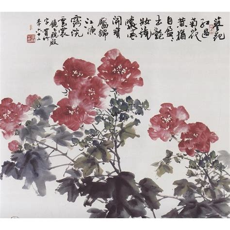 芙蓉菊花語|芙蓉菊